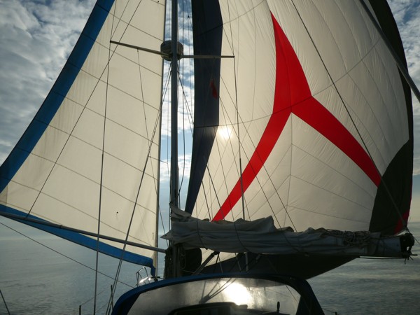 Blister und Genua Blister und Genua