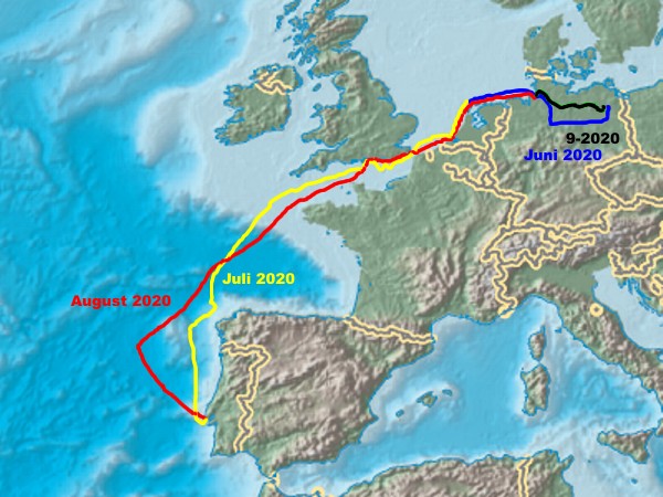 Segeln 2020