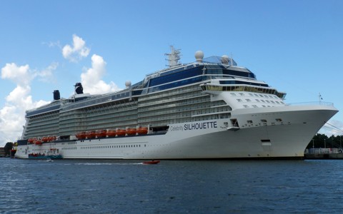 Celebrity Silhouette