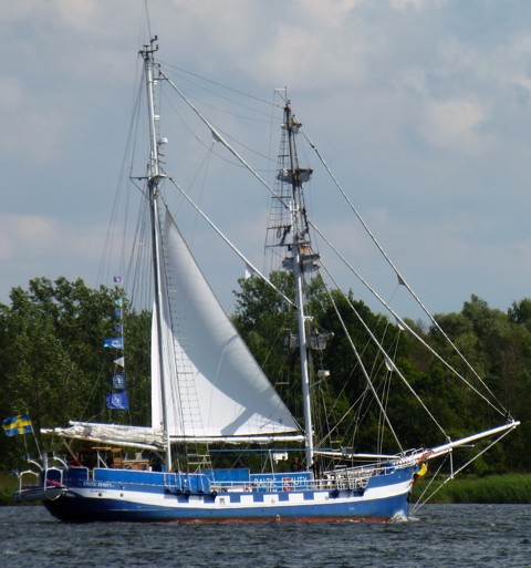 Baltic Beauty Baltic Beauty