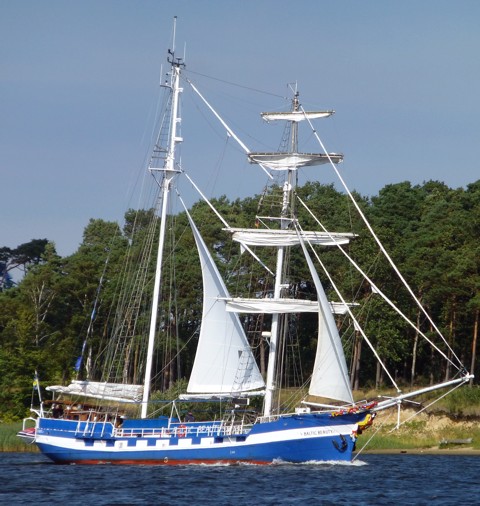 Baltic Beauty Baltic Beauty