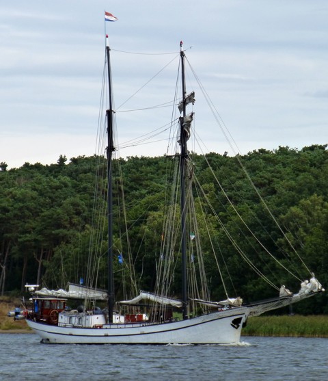 Bisschop van Arkel