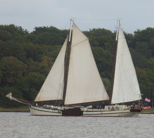 Traditionssegler Elegant