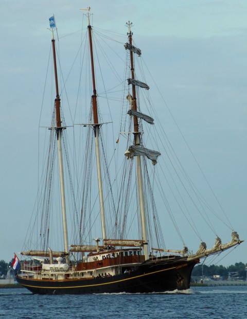 Gulden Leeuw Gulden Leeuw