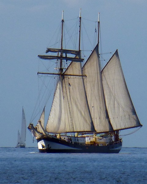 Swaensborgh - Segeln Swaensborgh - Segeln