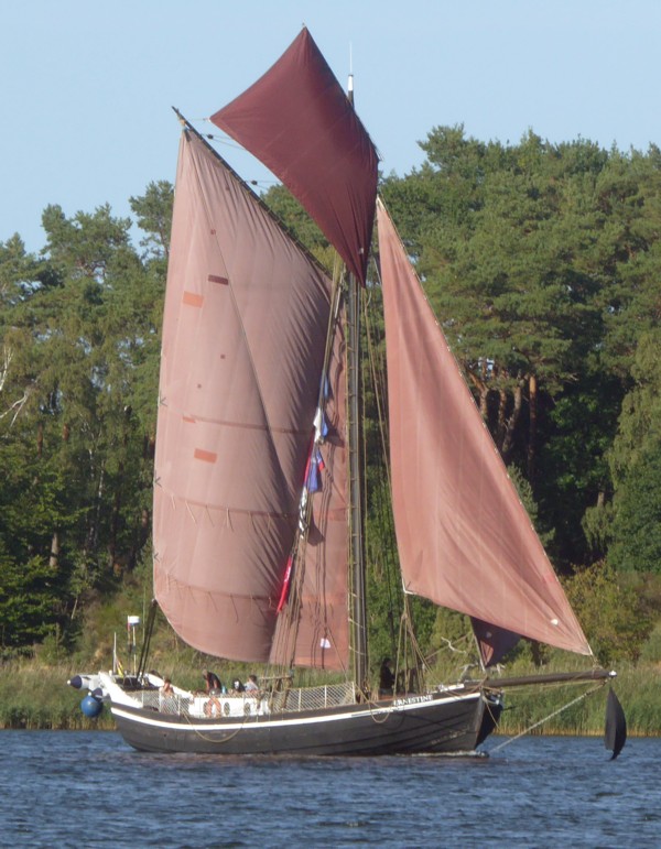 Ernestine Ernestine