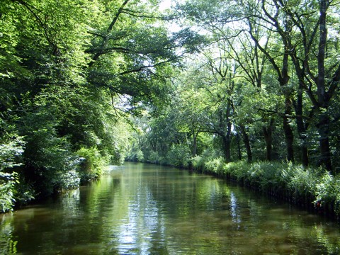 Canal des Vosges (bis 2003 Canal de l’Est)