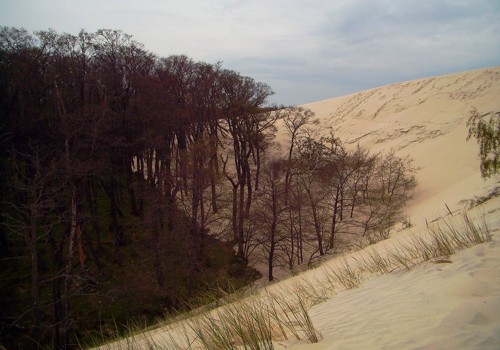 Wanderdünen Wanderdünen