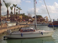 Segelyacht Tongji Segelyacht Tongji